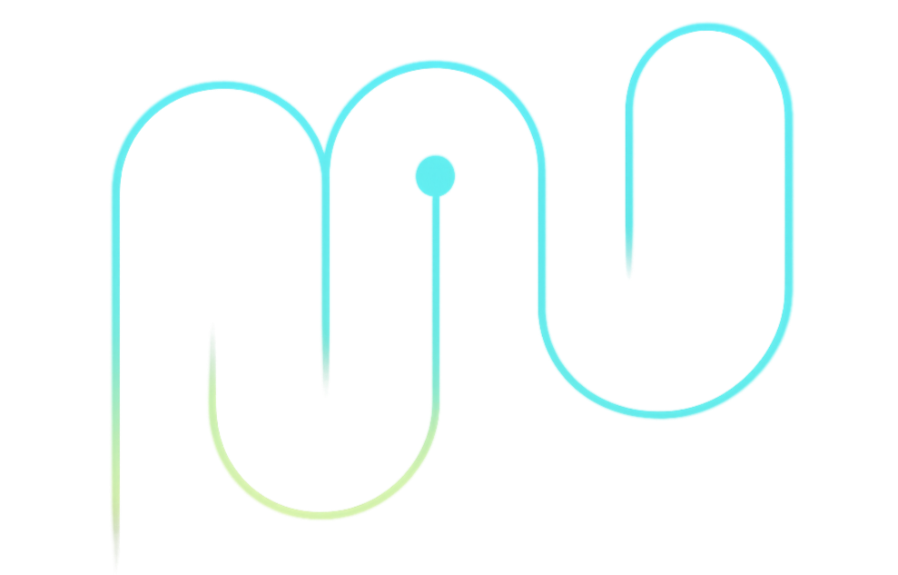 Aliveness Ventures' Product Development Process